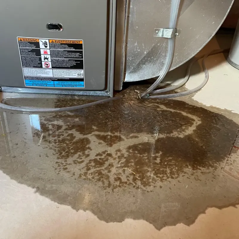 Appliance Leak Cleanup in Norman, OK